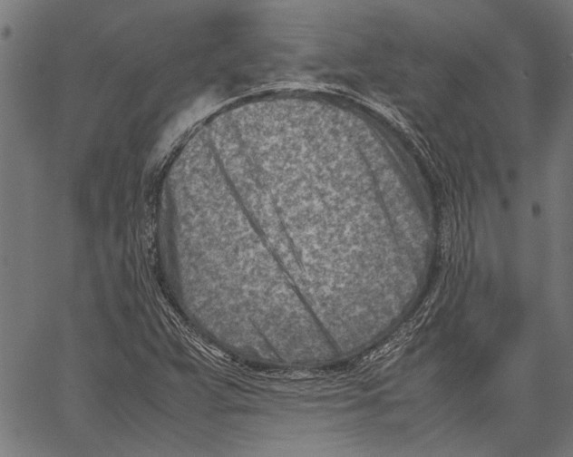 X0000062131359200601060847