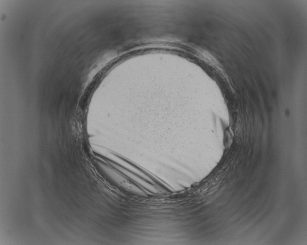 X0000062131360200601060847