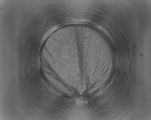 X0000062131362200601060847