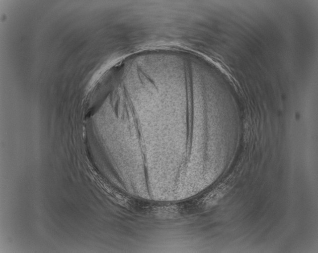 X0000062131363200601060847