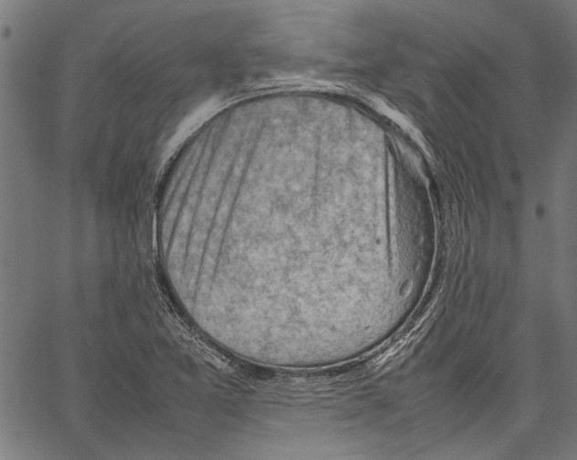 X0000062131365200601060846