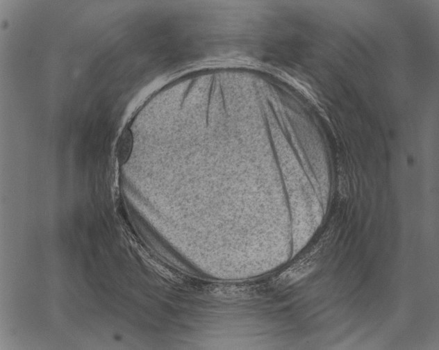 X0000062131366200601060846