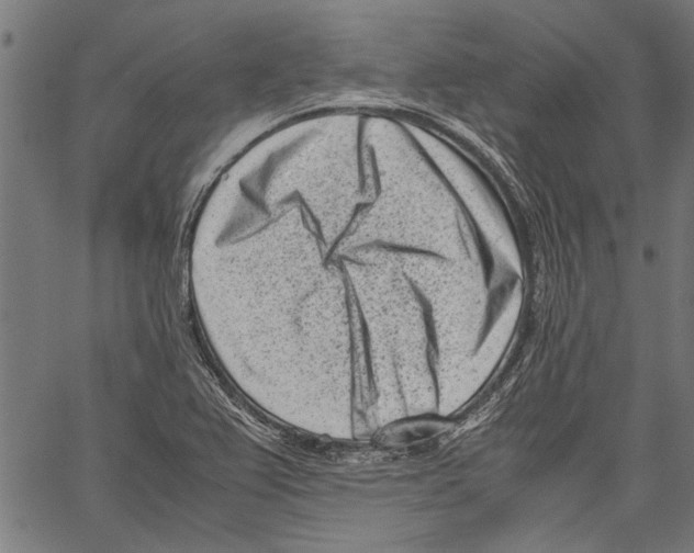 X0000062131367200601060846