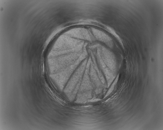 X0000062131368200601060846