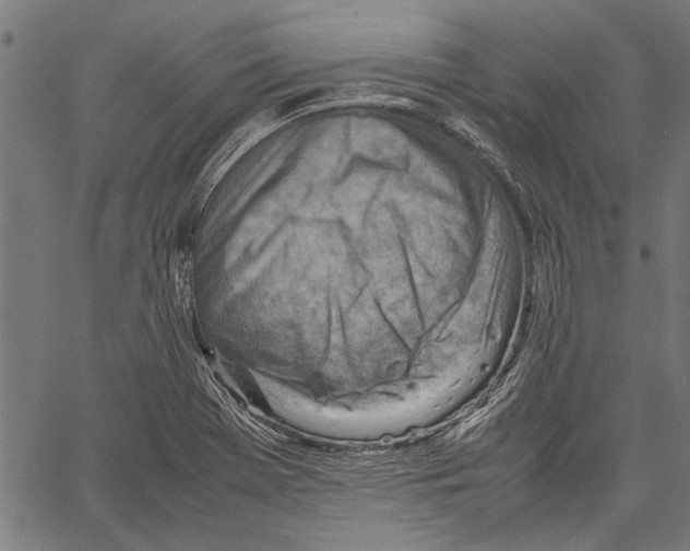 X0000062131369200601060846