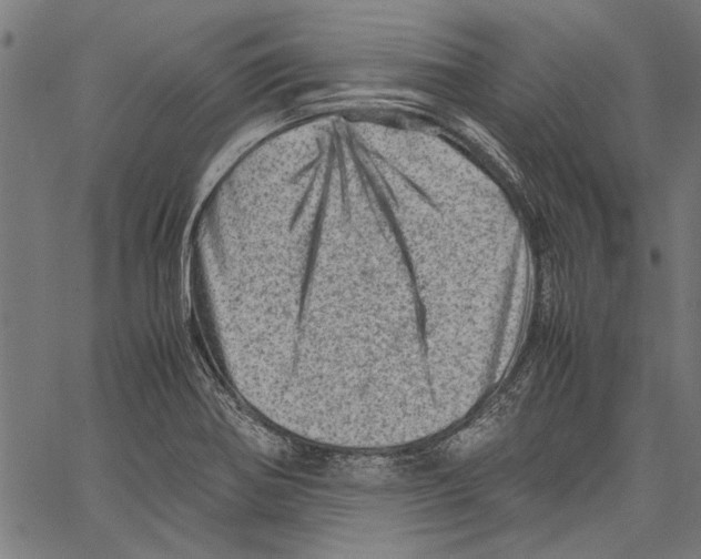 X0000062131370200601060846