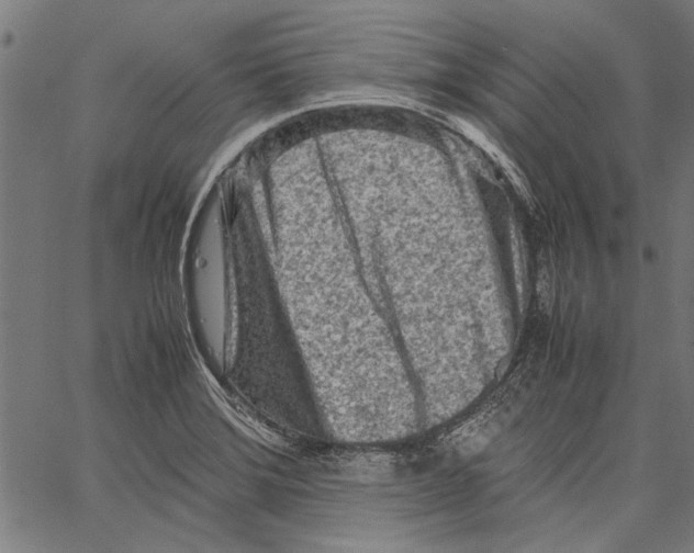 X0000062131372200601060846