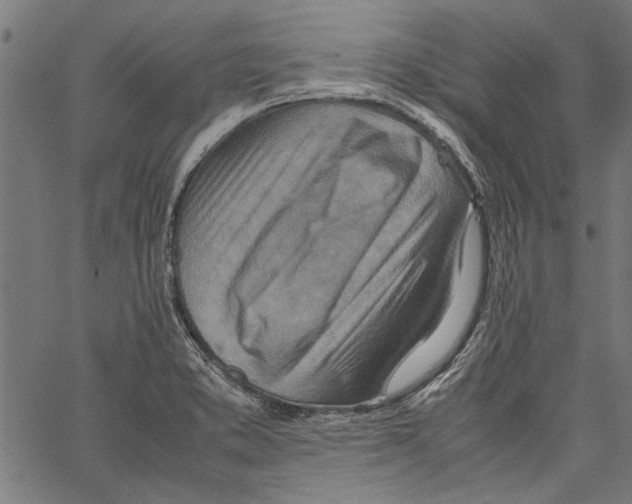 X0000062131373200601060846