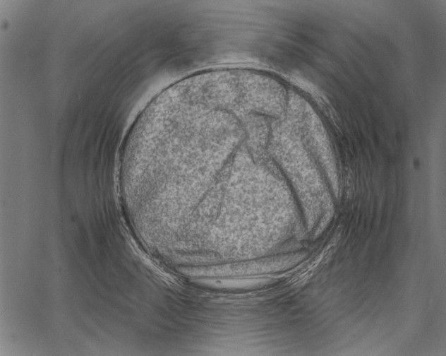 X0000062131374200601060846