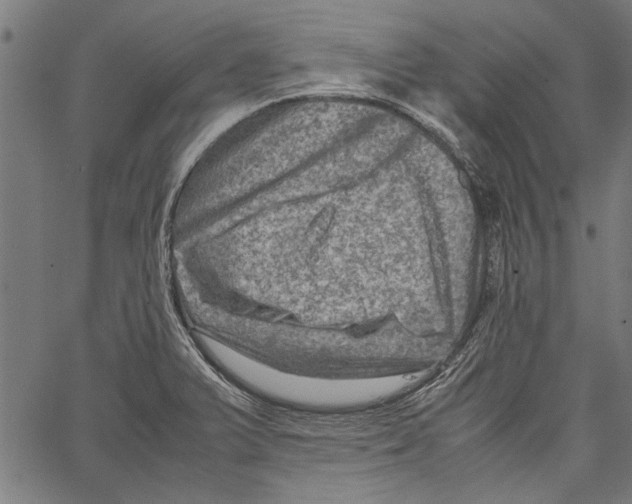 X0000062131375200601060846