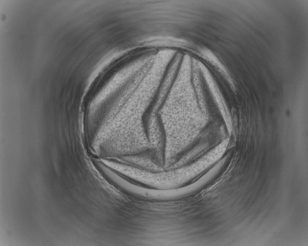 X0000062131376200601060846