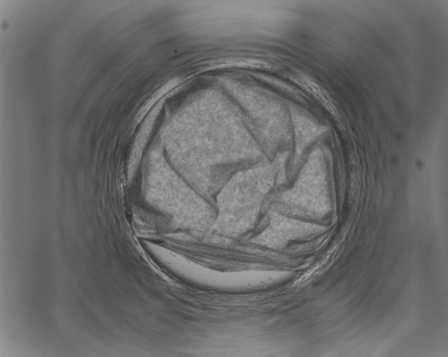 X0000062131377200601060846