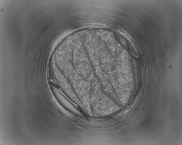 X0000062131379200601060846