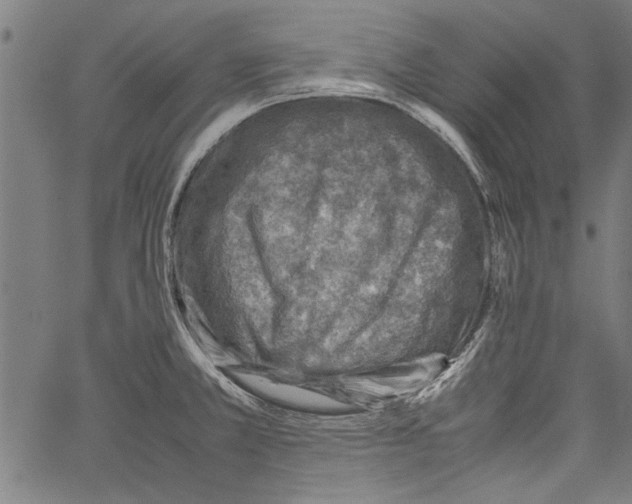 X0000062131381200601060846