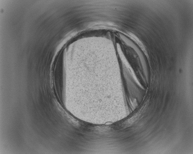 X0000062131384200601060846