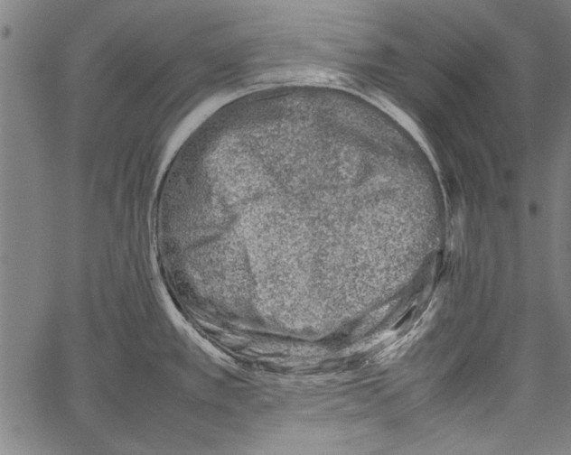 X0000062131389200601060846