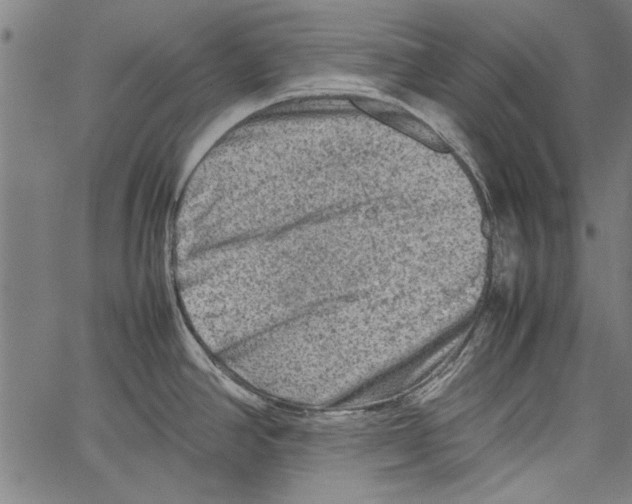 X0000062131390200601060846