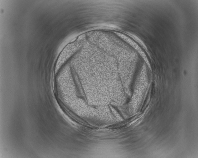 X0000062131391200601060846