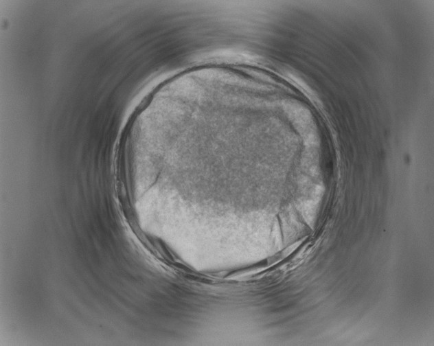 X0000062131392200601060846