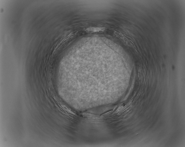 X0000062131393200601060845