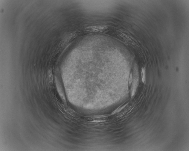 X0000062131395200601060845