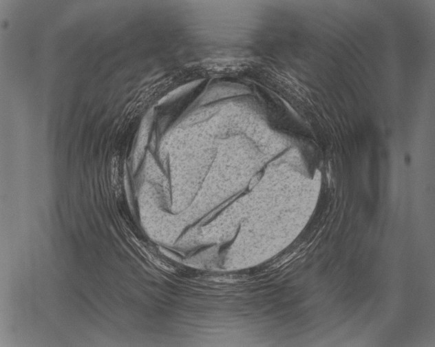 X0000062131396200601060845