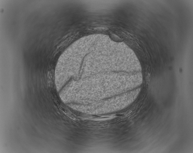 X0000062131397200601060845