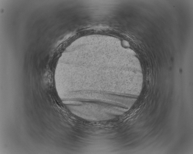 X0000062131398200601060845