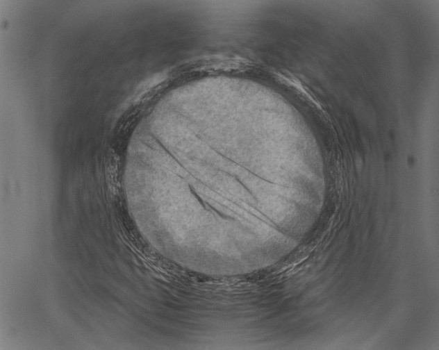 X0000062131399200601060845