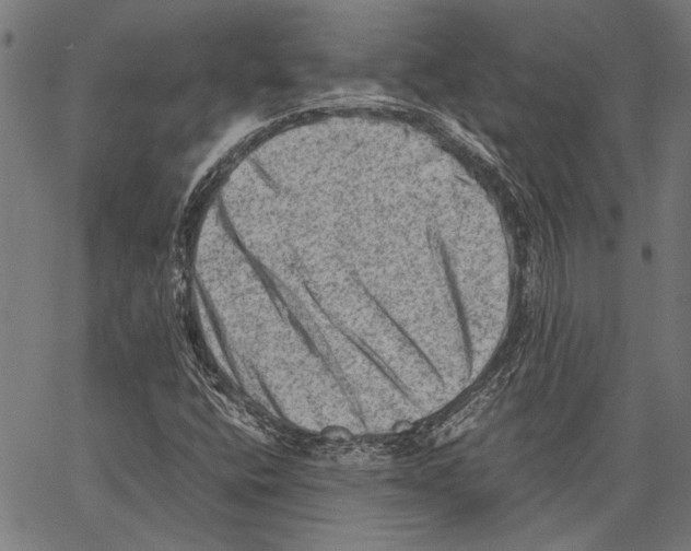 X0000062131400200601060845