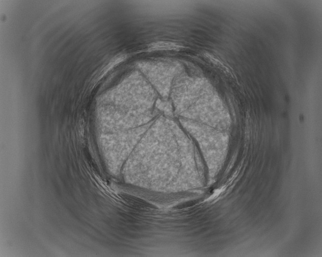 X0000062131401200601060845