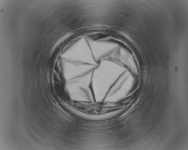 X0000062131402200601060845