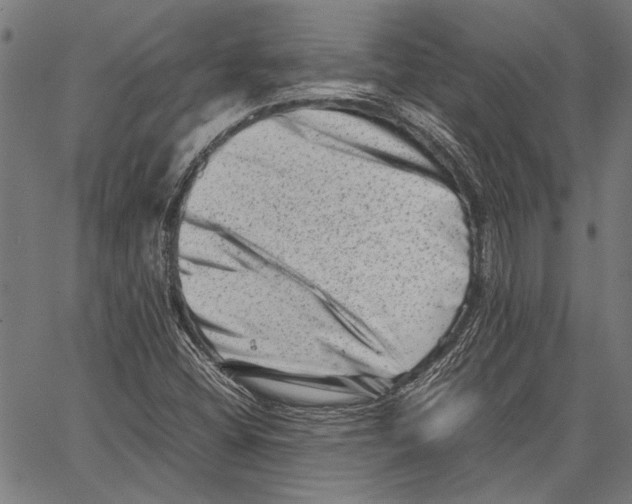 X0000062131404200601060845