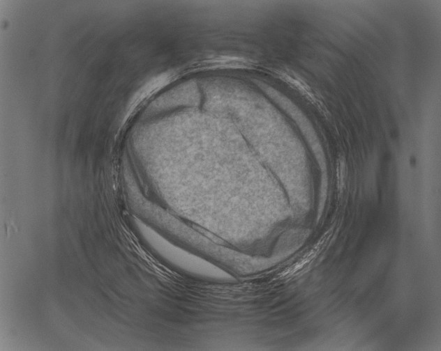 X0000062131405200601060845