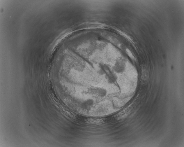 X0000062131407200601060845