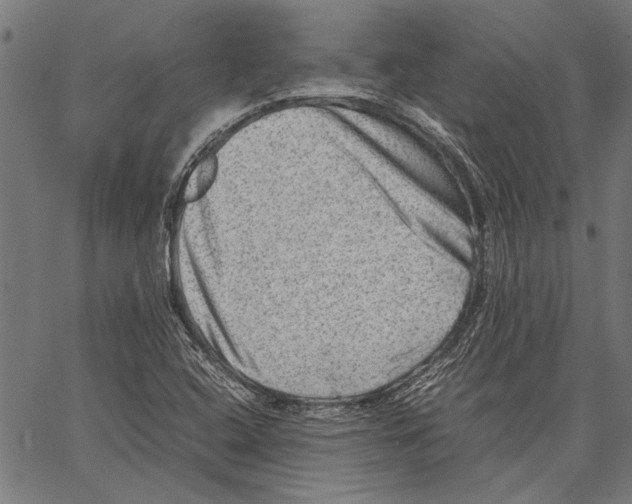 X0000062131408200601060845