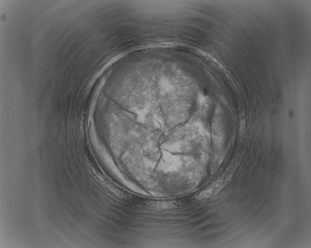 X0000062131409200601060845