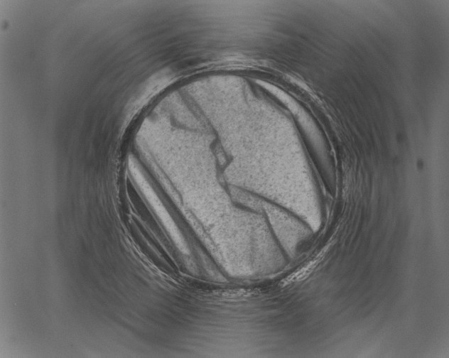 X0000062131410200601060846