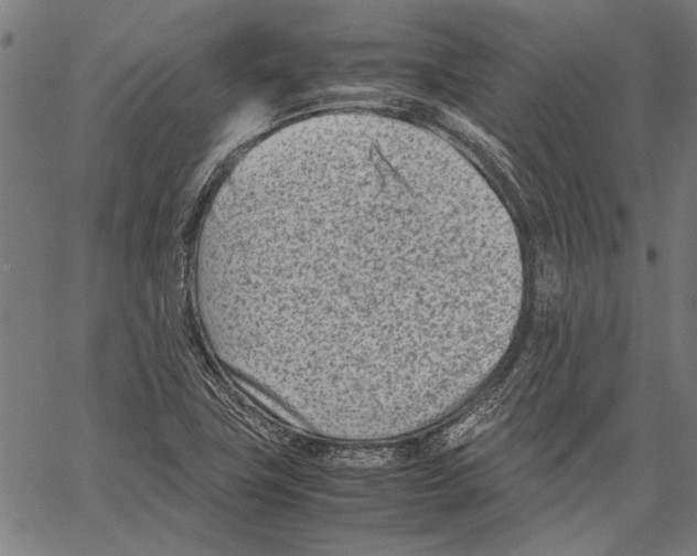 X0000062131411200601060846