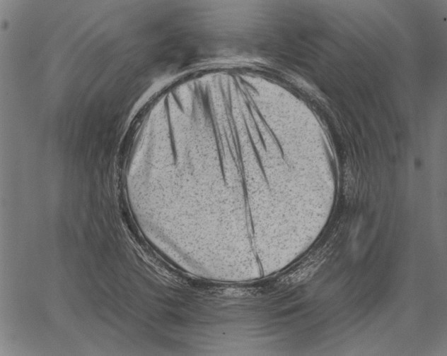 X0000062131412200601060846