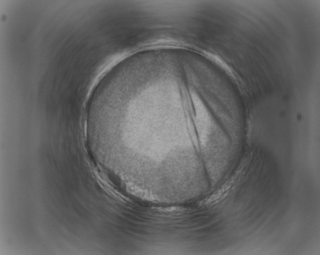 X0000062131413200601060846