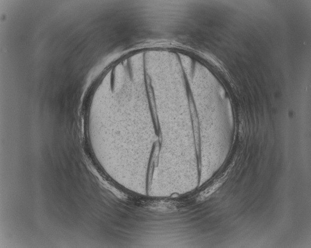 X0000062131414200601060846