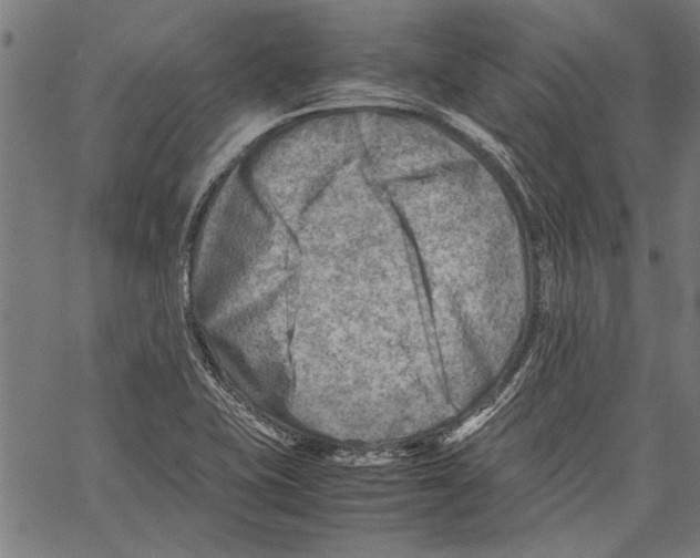 X0000062131415200601060846