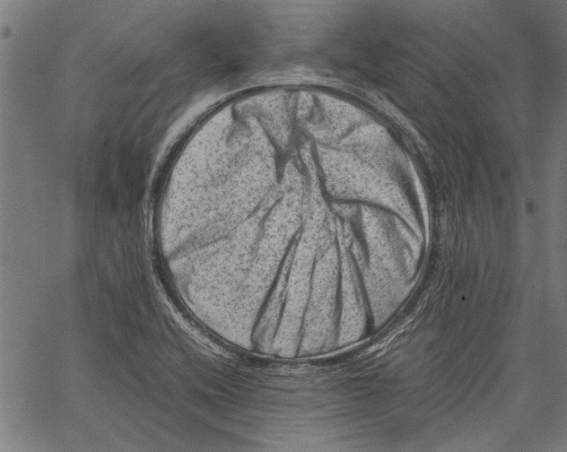 X0000062131416200601060846