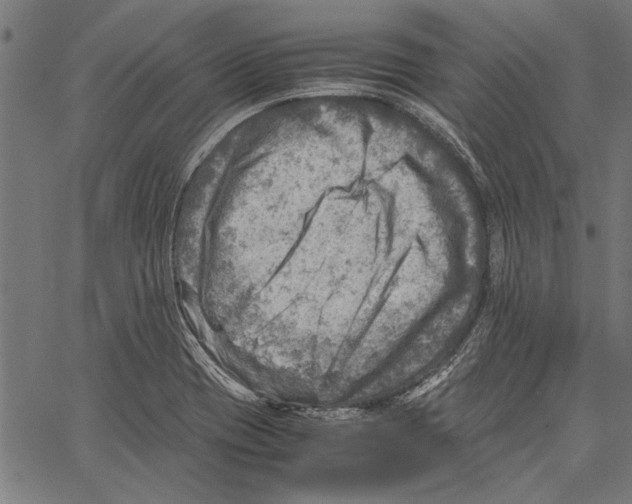 X0000062131417200601060846