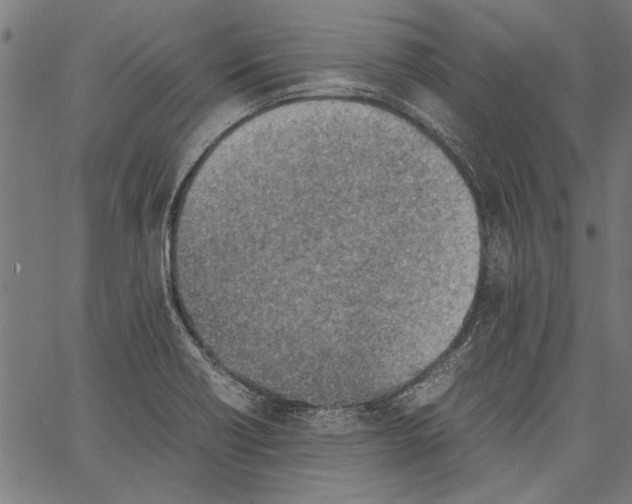 X0000062131418200601060846