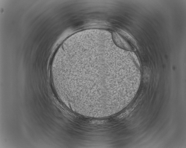 X0000062131419200601060846