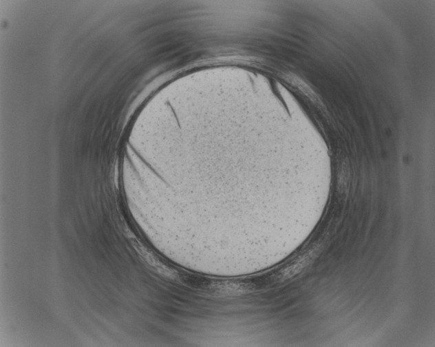 X0000062131420200601060846