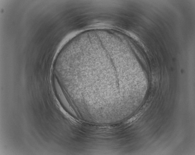 X0000062131421200601060846