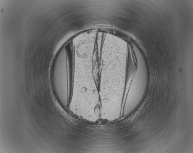 X0000062131422200601060846